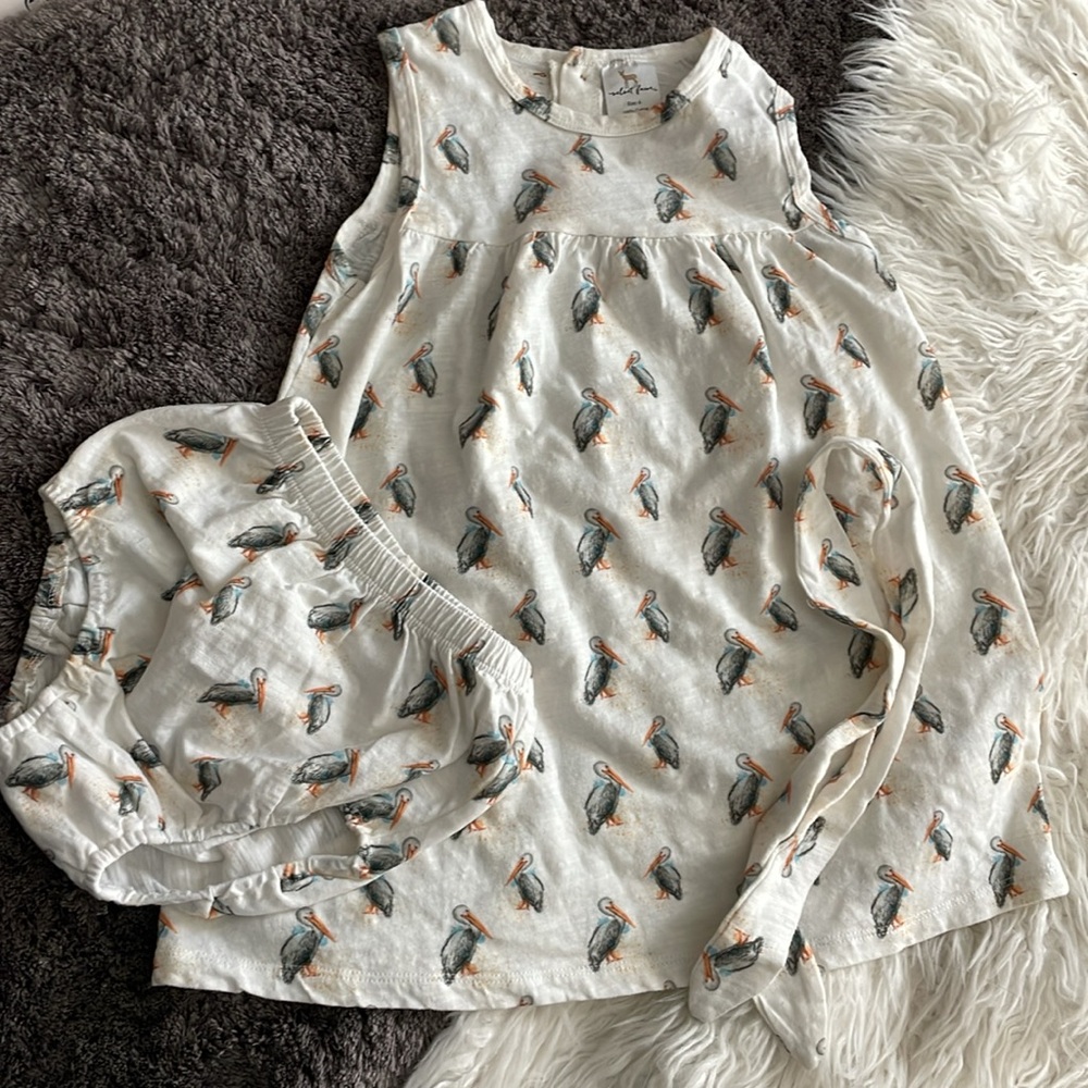 Velvet Fawn Size 6 Pelican Girls Dress